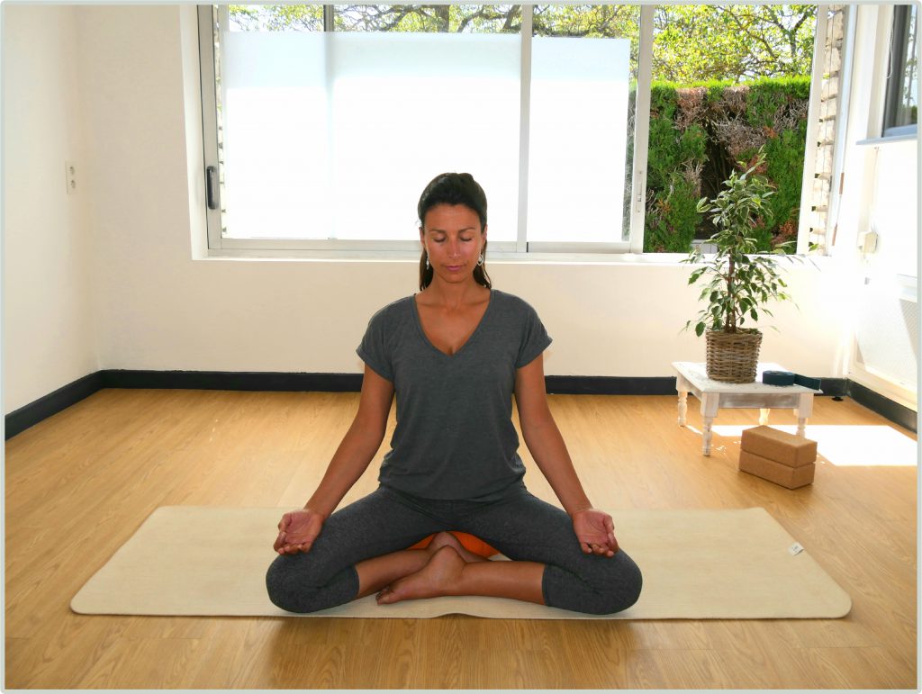 Cours de Yoga Vinay
